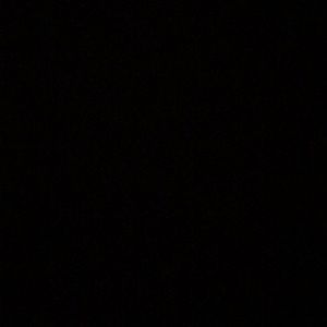 Meet your Posher, Kurtis